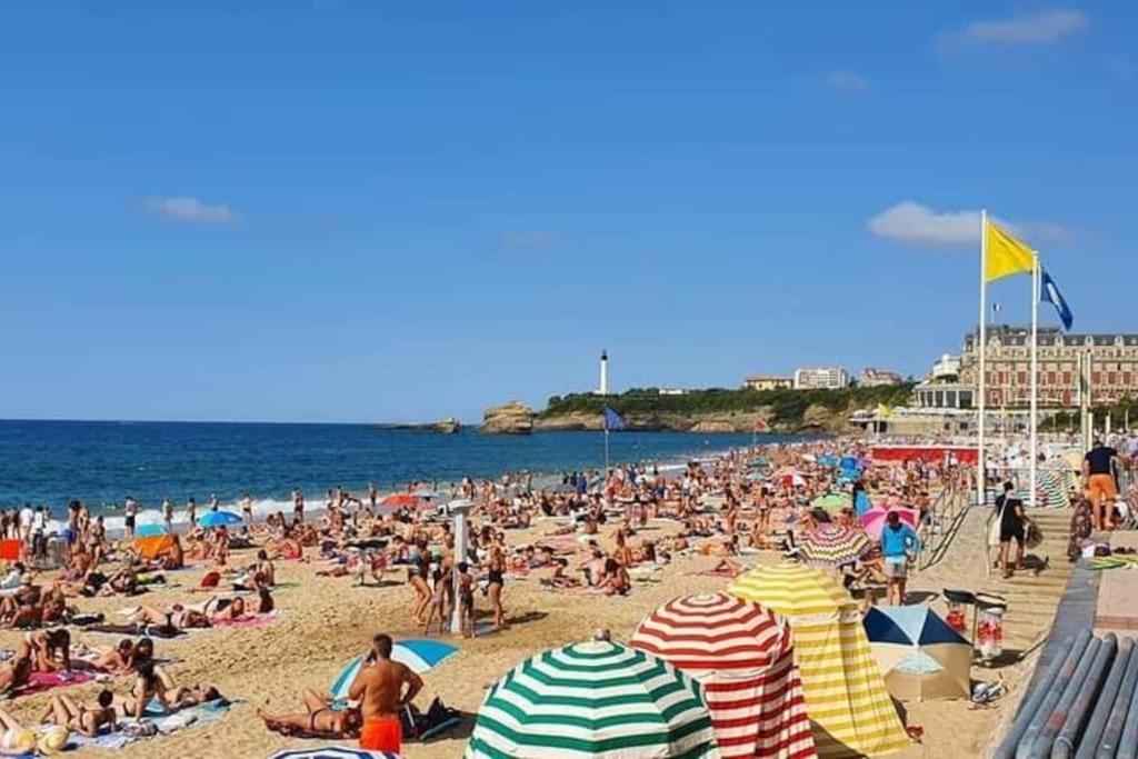 Magnifique T3 - Grande Plage Biarriz Exterior foto
